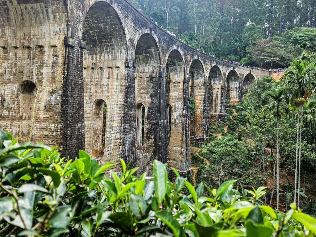 Sri Lanka1