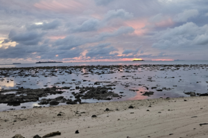Turtle Island Borneo