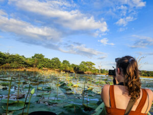 Kingdom Ecolodge